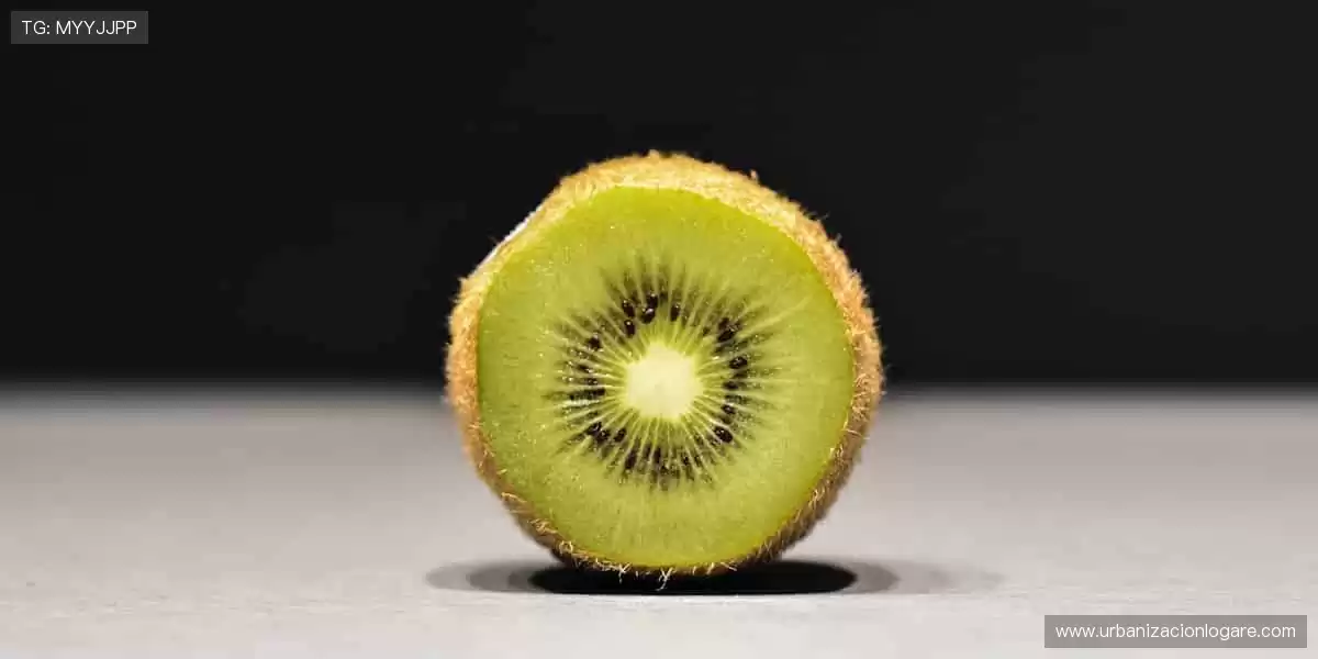 一键开播，不错过任何精彩瞬间⏰📱